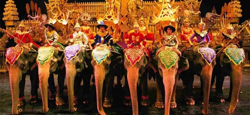 77����-ר������ָ��������ƽ̨